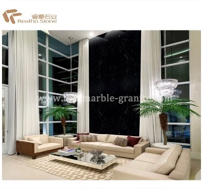 Via Lactea Black Granite on wall Via Lactea Black Granite on wall