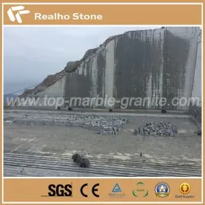 Propre carrière de granit gris Nouveau G 603